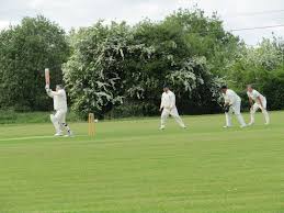 Image result for Frodsham Cc