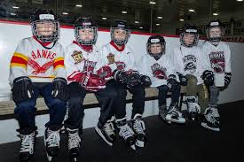 Image result for Havering Skater Hockey Club
