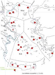 Attēlu rezultāti vaicājumam “Leiocolea collaris”
