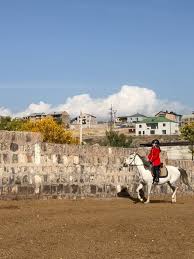 Image result for Ayr Riding Club