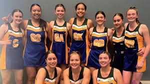 Image result for Civil Service (Ipswich) Netball Club