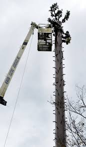 Image result for cell phone tower