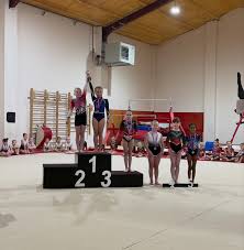 Image result for Lincoln Gymnastics Club