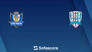 Image result for Deva Handball Club