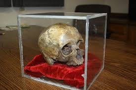 Bildresultat för jake skull