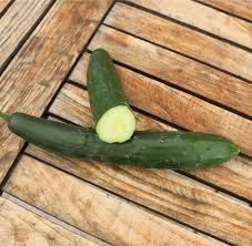 Image result for Gurke