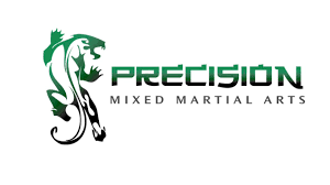 Image result for Precision Martial Arts