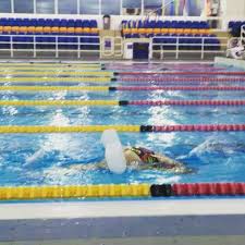 Image result for Team Bath Synchronised Swimming Club