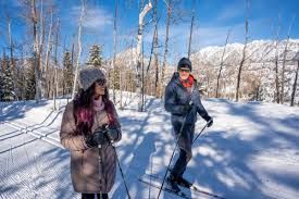 Image result for Scandinavian slope and cross country skiing