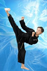 Image result for COMBAT TAEKWONDO