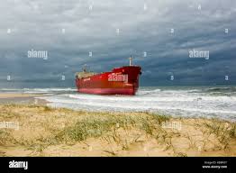 Image result for Pasha bulker