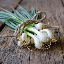 Résultat de recherche d'images pour "Allium fistulosum"