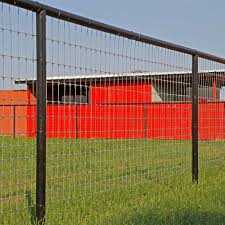 Image result for Braveheart Fencing