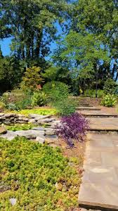 Image result for Arboretum Bowling Club