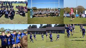 Image result for Royston Rufc