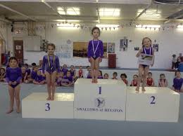 Image result for Swallows Of Helston Gymnastics Club