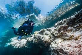 Image result for Great Western Divers