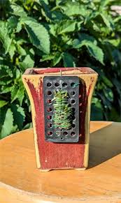 Attēlu rezultāti vaicājumam “Choerades sp.”