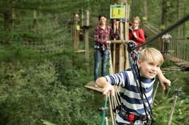 Image result for Go Ape! Alice Holt