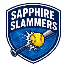 Image result for Surrey Heath Slammers