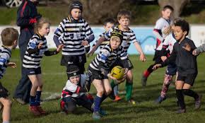 Image result for Ciyms Rugby Football Club