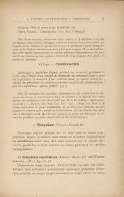 Attēlu rezultāti vaicājumam “Arcyria, Heterotrichia sp.”