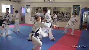 Image result for Tang Sou Dao Ren Yi Wu Kwan - Huntingdon