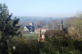 Image result for Chiddingfold Youth Fc