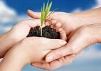  Organic burials : corpse to compost in six months | Nature | The ... 