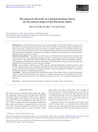 Attēlu rezultāti vaicājumam “Diderma effusum young”