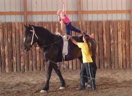 Image result for Windrush Vaulting Group