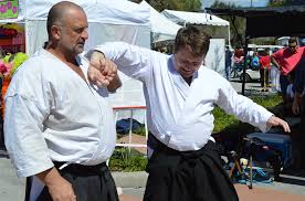 Image result for Tae-jitsu