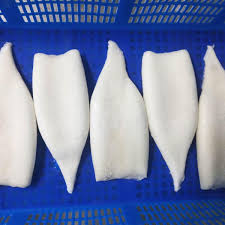 Image result for Dosidicus gigas