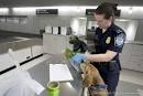 The Beagle Brigade: Stopping Entryof Harmful Pests, Plants and ...