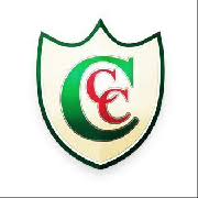 Image result for Grayshott Cricket Club