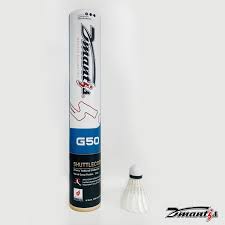 Image result for Flight Badminton Club