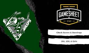 Image result for West Coast Wasps Skater Hockey Club