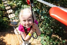 Image result for The Go Ape Experience (Delamere Forest)