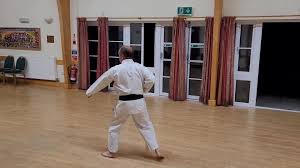 Image result for Taunton Karate Jutsu