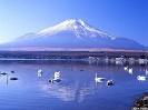 fuji