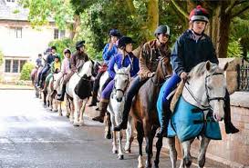 Image result for Porlock Vale Riding School