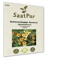 Image result for schwarzäugige Susanne