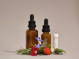 Attēlu rezultāti vaicājumam “Ledum palustre fruit”