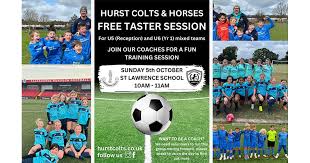 Image result for Hassocks Ladies FC