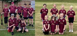 Image result for Elthorne Cricket Club