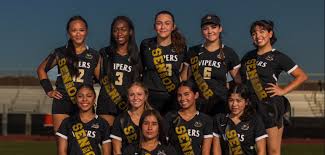 Image result for Team Voodoo Flag Football Club