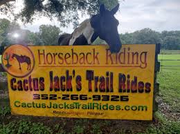 Image result for Greenways Riding Stable Lower Eashing