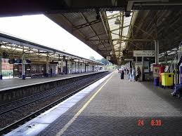 Image result for Newton Abbott Knights