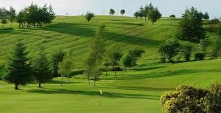 Image result for Beith Golf Club