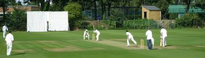 Image result for Shepherdswell Cricket Club